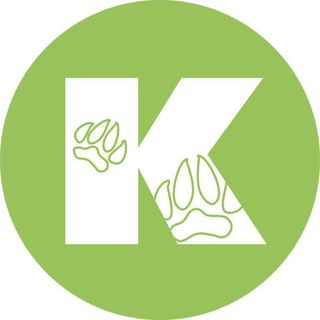 Kotonay