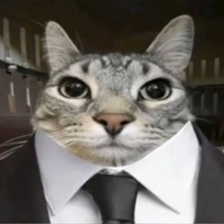 Го ебаца