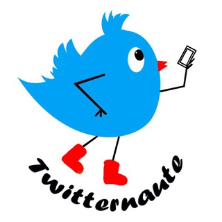 Twitternaute
