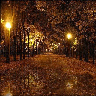 Payız.Gecesi💚🍂