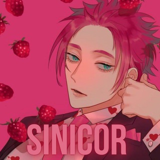 Поддержка SINICOR