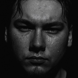 Nikita lav