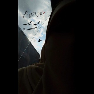 زَيْنُوبْ")! 𐚁̸