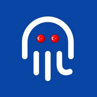 Octopus Network Türkiye