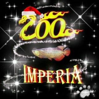 ZOO Imperia Chat
