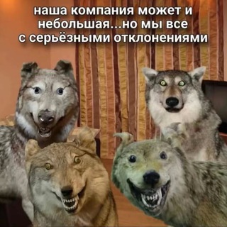 HEAD_SHOT-Fun😁 (Инфа по стримам)