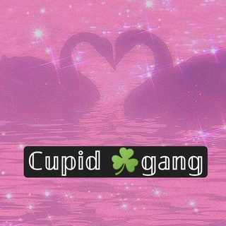 Cu℘iᖙ์ ☘️Gαήg ❥❥❥