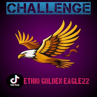 Ethio golden eagle
