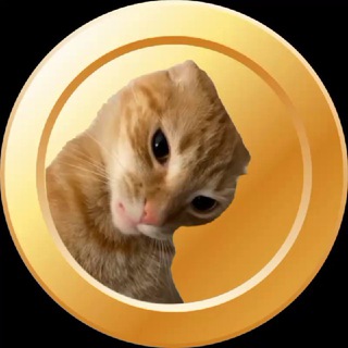 CatMeme|Coin👀