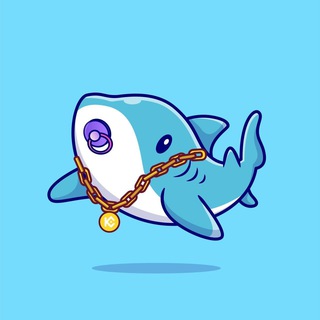 KuBabyShark - $BSHARK