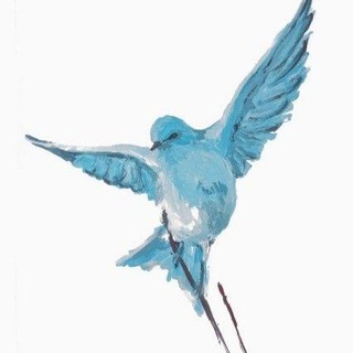Blue bird