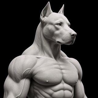 $DOG MOGGS