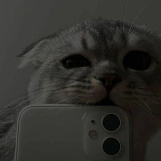 Влад