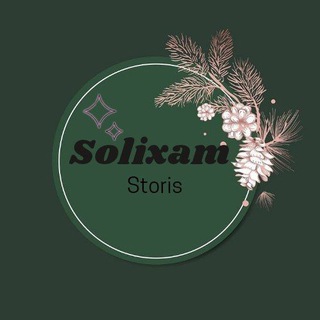 Solixam_storis