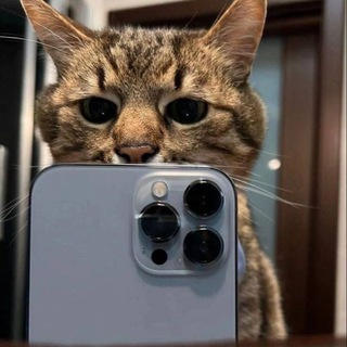 sh