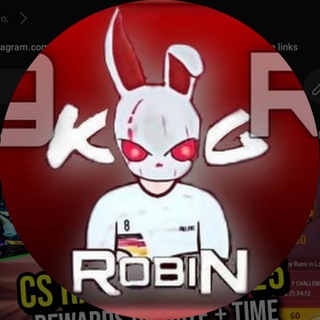 All Daily Combo ⚡Zoo Riddle & Rebus | PAWS | Bums | Dropee | Donot | Cattea | Blum | Hrum | Timefarm | Tapcoins | DRFT Party