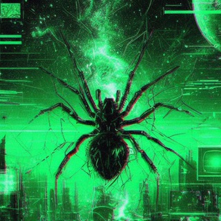 Electrospider's Web
