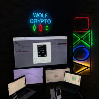 Ceo of Wolf Crypto 🐺
