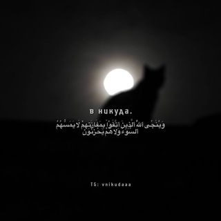 в никуда