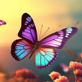 🦋ᯓ ֟ؖ۬. 𝗕𝗨𝗧𝗧𝗘𝗥𝗙𝗟𝗬 𝗪𝗢𝗥𝗟𝗗 𓆩🌎𓆪ꪾ