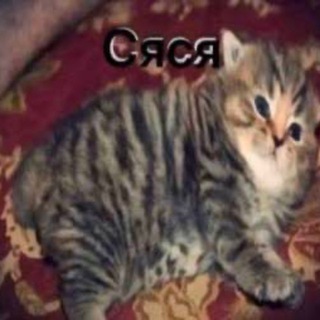 Санечка