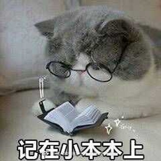 肥鱼的Rss推送