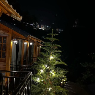 사카타Guuu 강영 (🛡.🩵) 🇰🇷