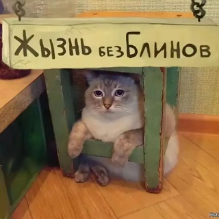 Отзывы @ranbd1