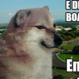 TI, Games & Memes Roraima Chat