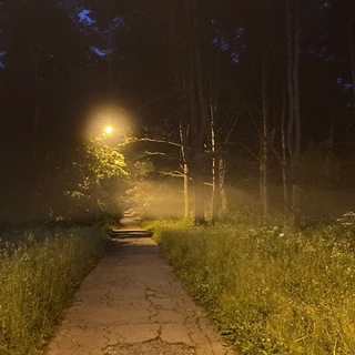 молчание.