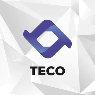 TECO DAO TT COIN 3020