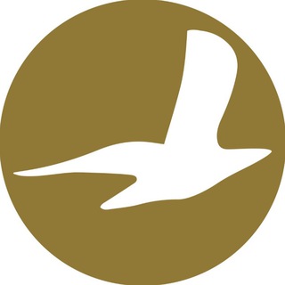 Cham Wings Airlines