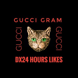 Gucci Cat 24:00 Likes