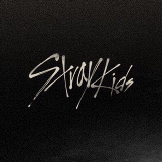StrayKids_SNG_bot