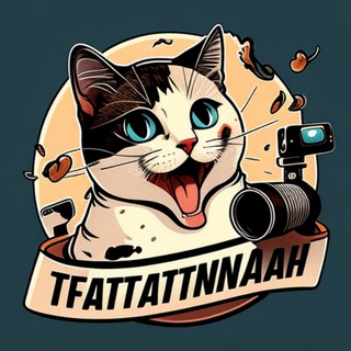 Котводворе