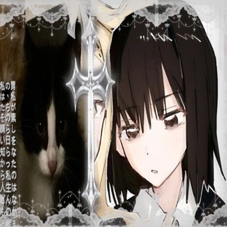 ᜊ。𐍂ᱛ𐌽𐍅𐌳 ╭ 𝗅𑄜꯭𝗏𝖾 ‎ ೀ