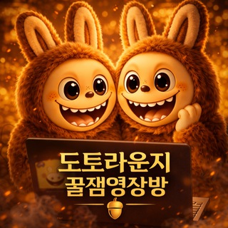 도토라운지 꿀잼 영상방😂