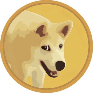 DOGGO CTO