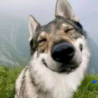 Ñ