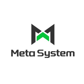 Meta System