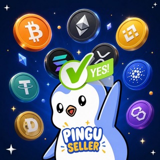 PINGU STORE | TESTI REAL