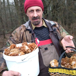 Gribnik Sergey