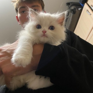 Максим